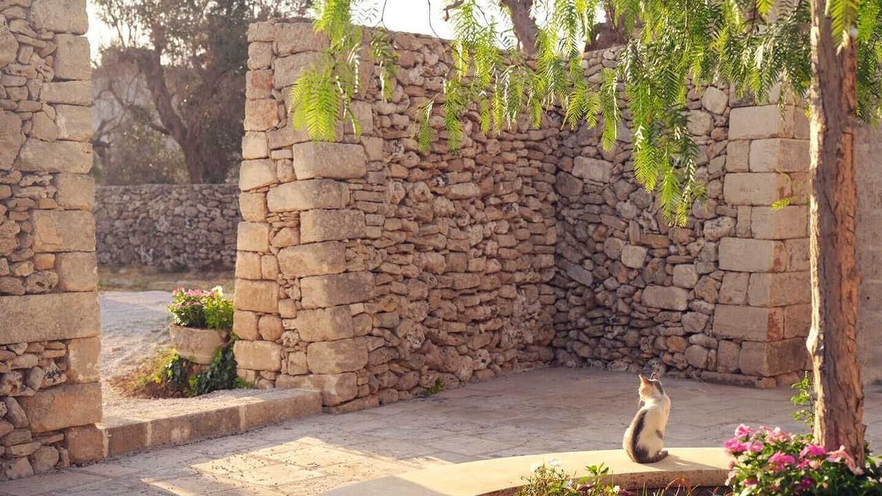 Photo of Outdoor in Melendugno