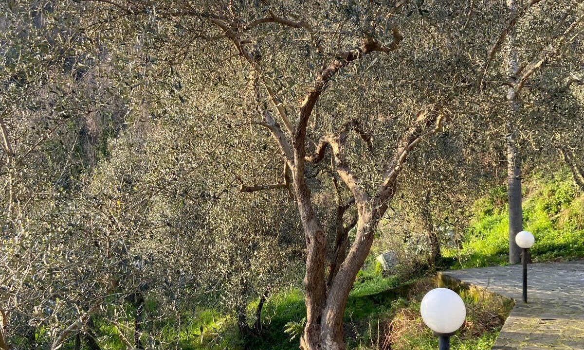 Photo of Others in Fosdinovo