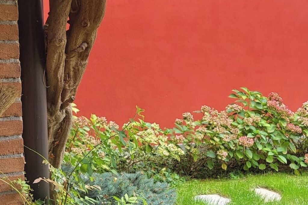 Photo of Outdoor in Savigliano