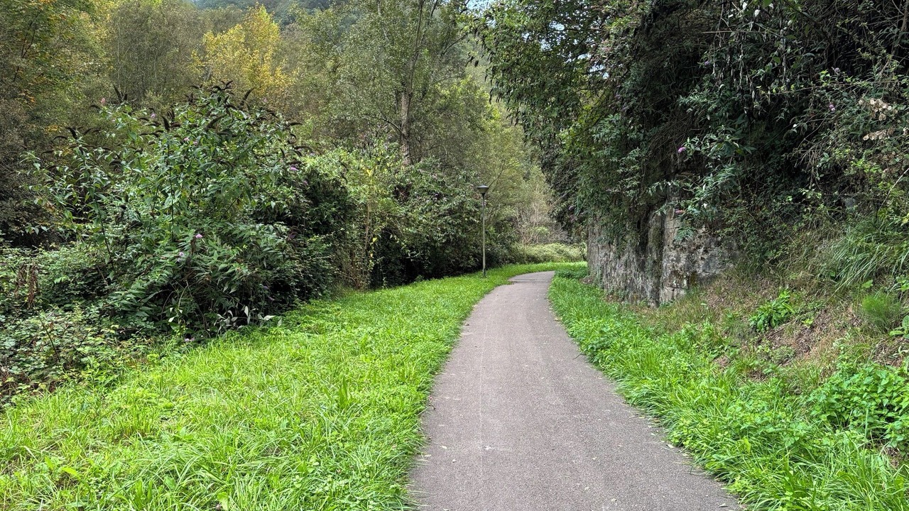 Photo of Others in Mieres