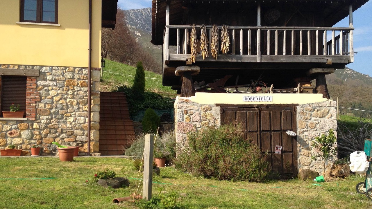 Photo of Outdoor in Obaya