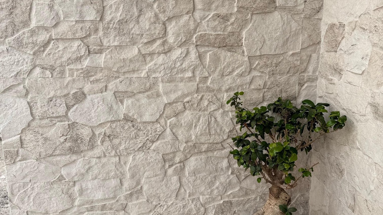 Photo of Outdoor in Sampieri