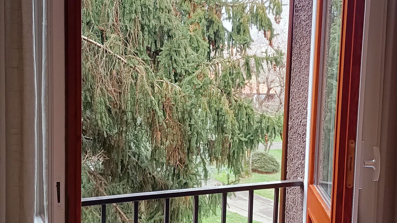 Photo of Others in Bergamo