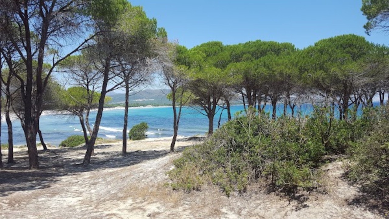 Photo of Others in Tanaunella