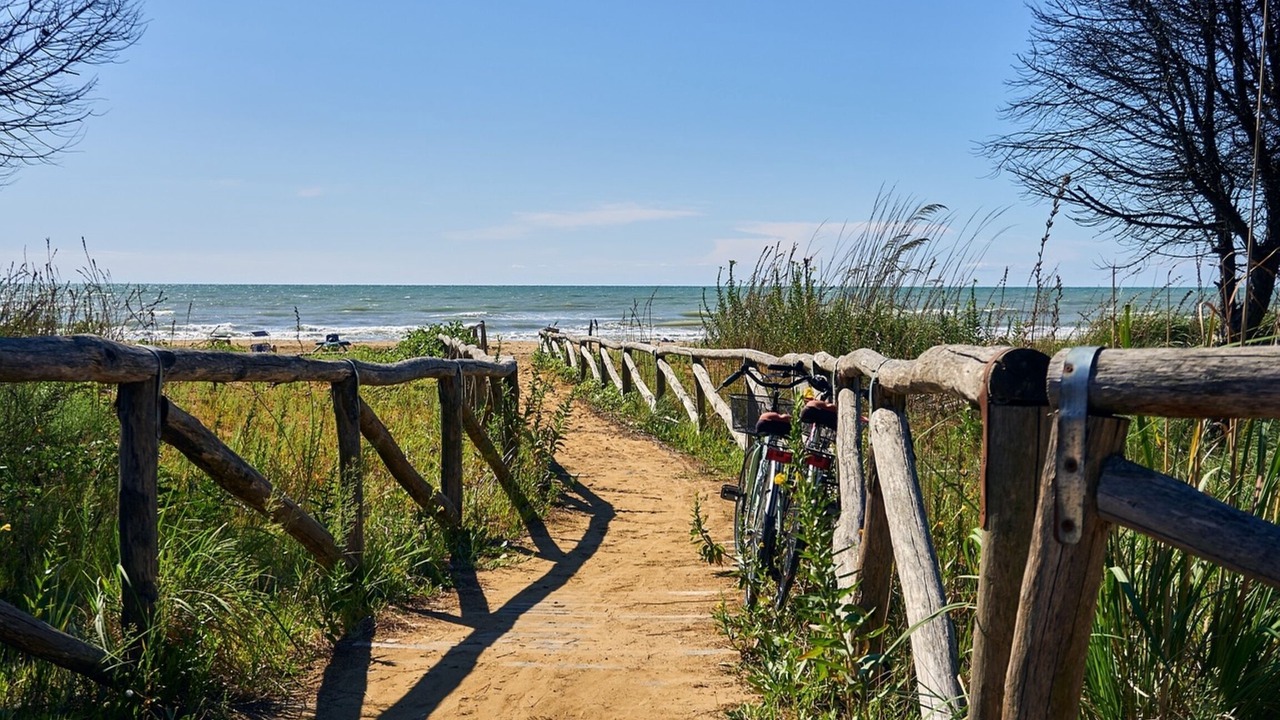 Photo of Others in Bibione Pineda