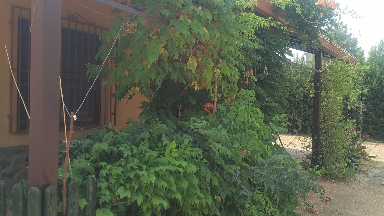 Photo of Outdoor in Argamasilla de Alba