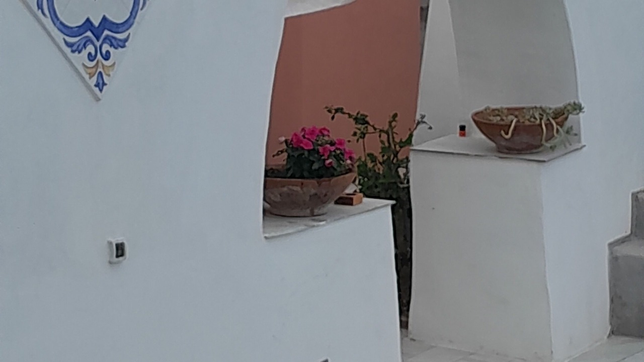 Photo of Outdoor in Licola