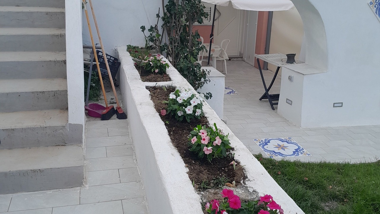 Photo of Patio Balcony in Licola