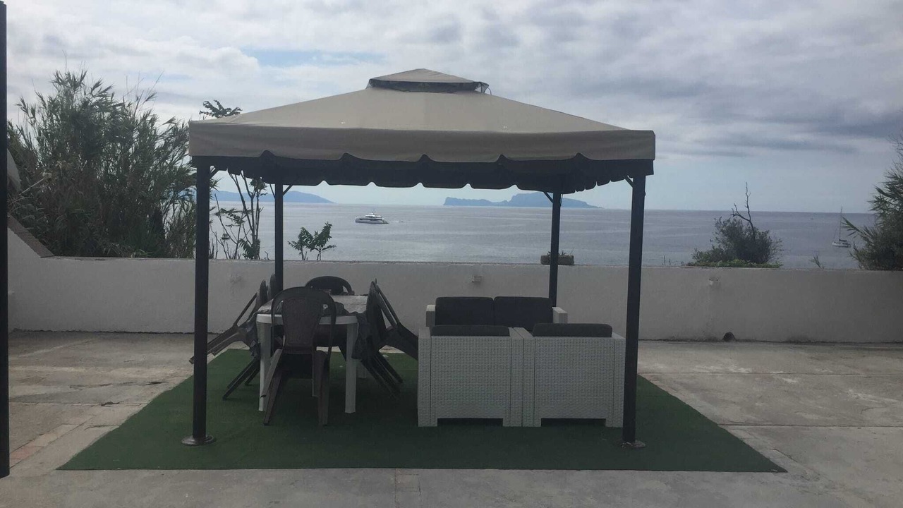 Photo of Outdoor in Licola