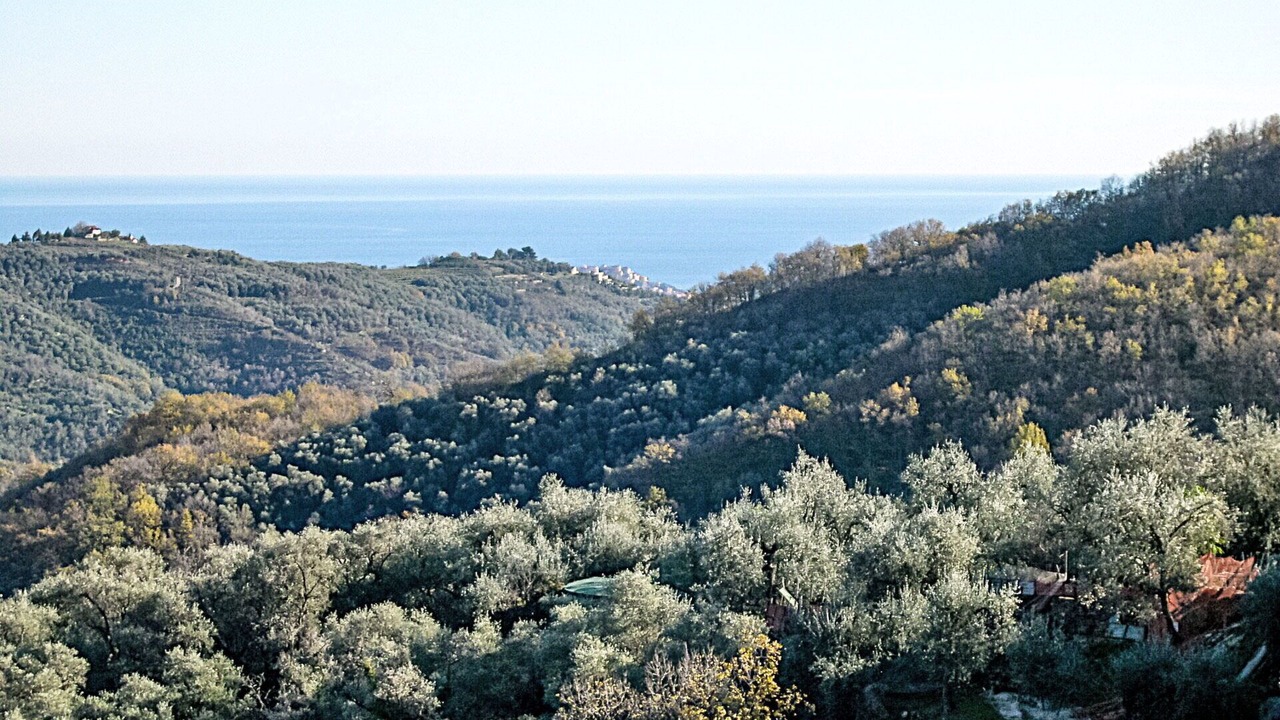 Photo of Outdoor in Valloria