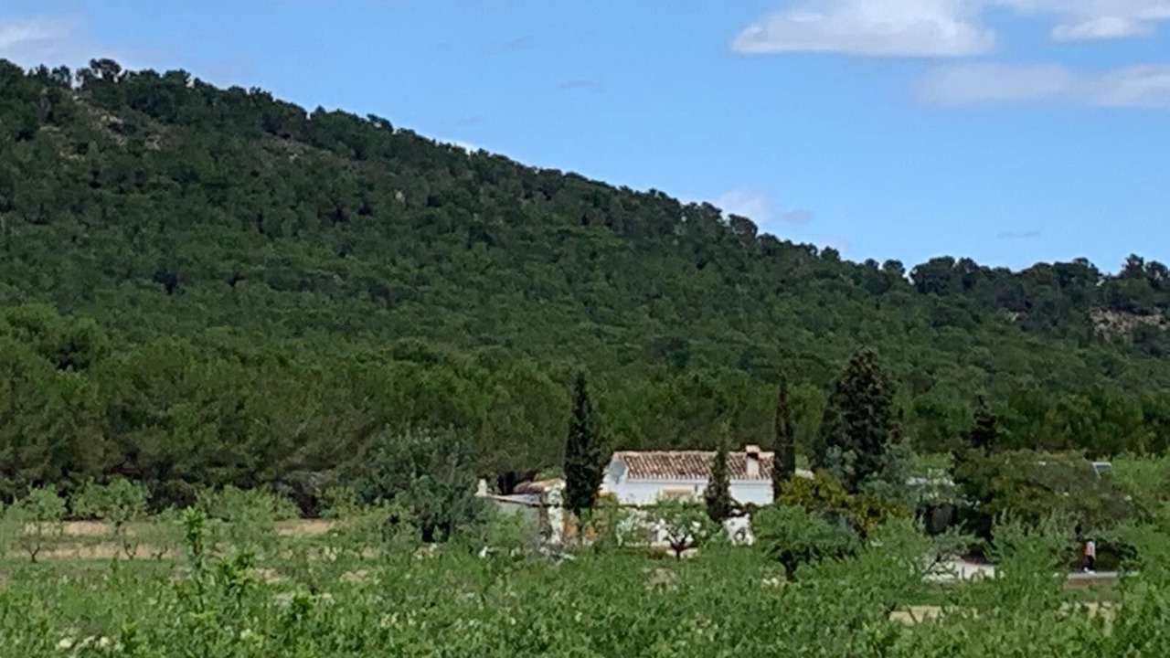 Photo of Others in Pliego