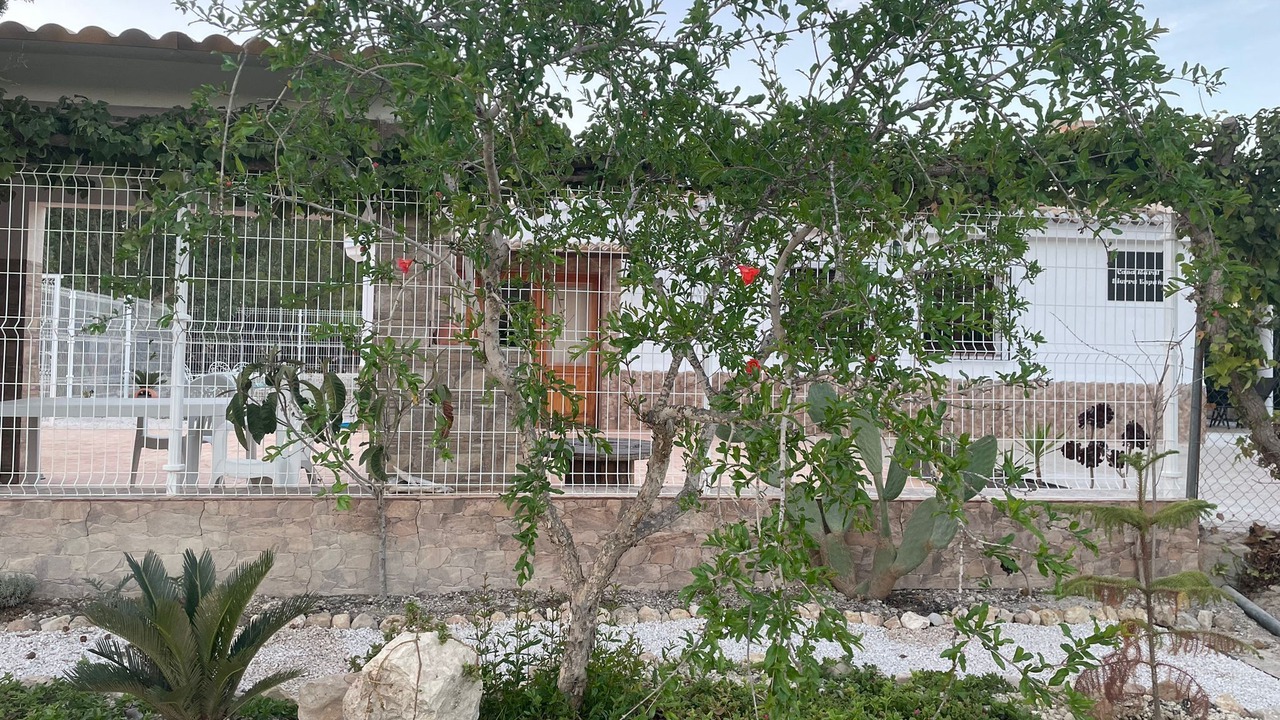 Photo of Outdoor in Pliego