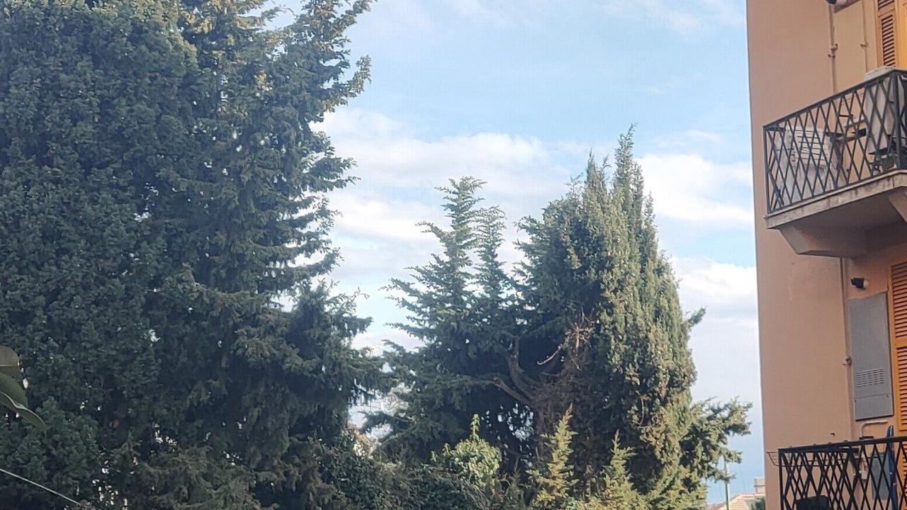 Photo of Outdoor in Nervi