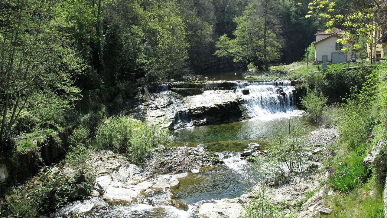 Photo of Others in Borgomaro
