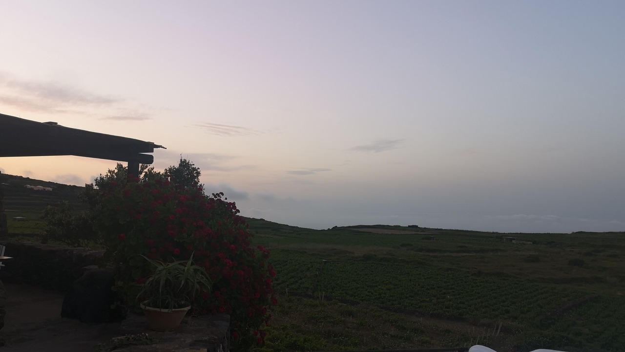 Photo of Outdoor in Pantelleria