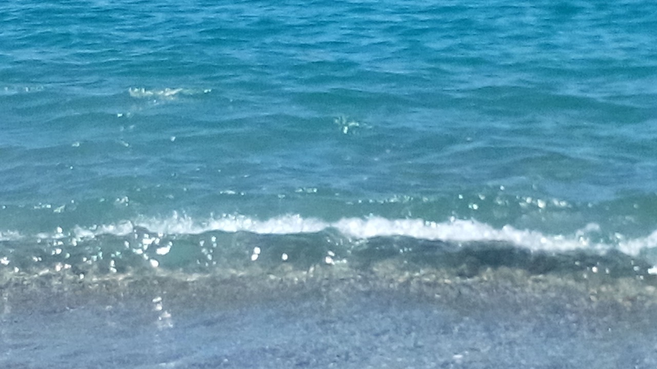 Photo of Others in Sant'Eufemia Lamezia