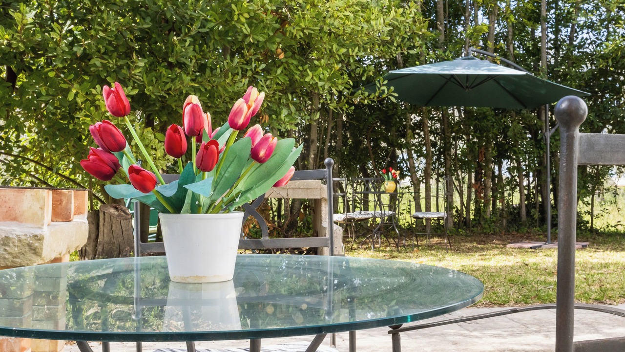 Photo of Outdoor in Minervino di Lecce