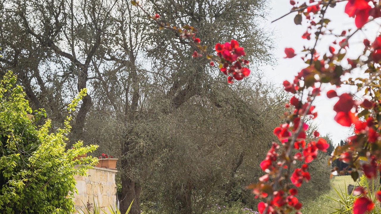 Photo of Outdoor in Minervino di Lecce
