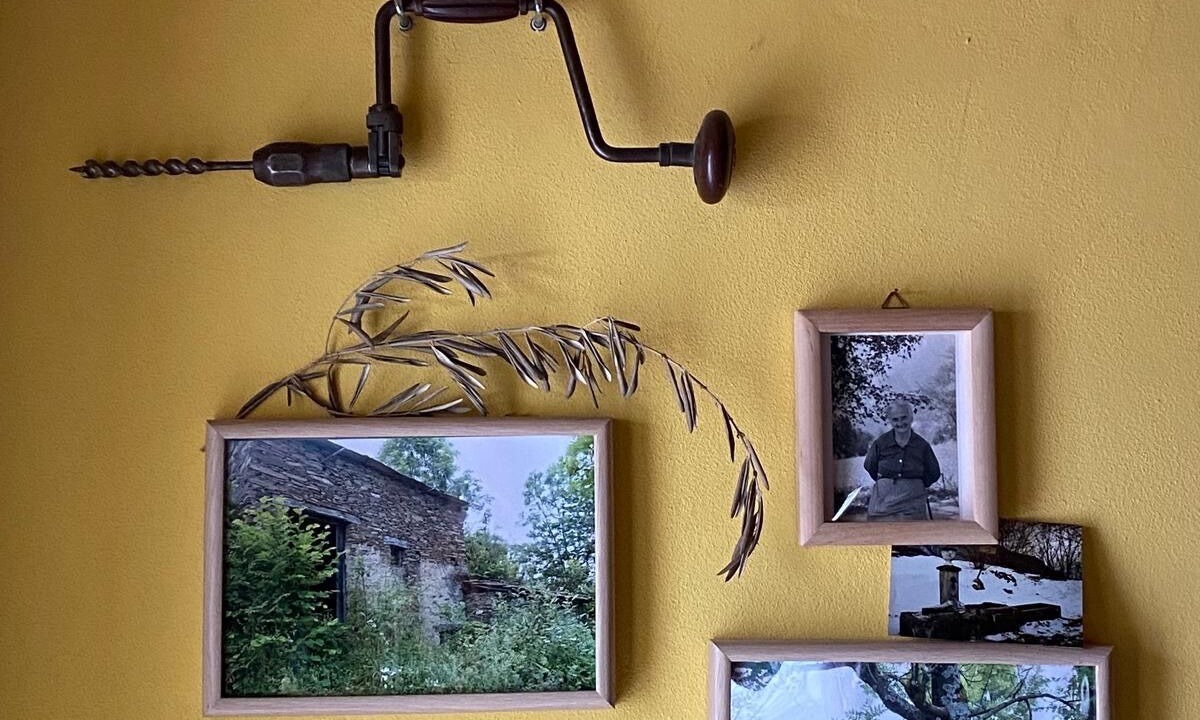 Photo of Others in Frassino