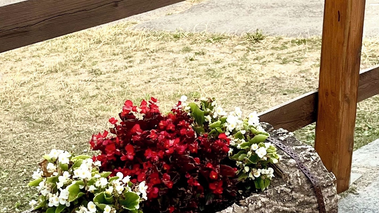 Photo of Outdoor in Frassino