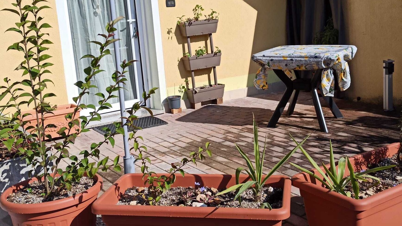 Photo of Patio Balcony in Raffa