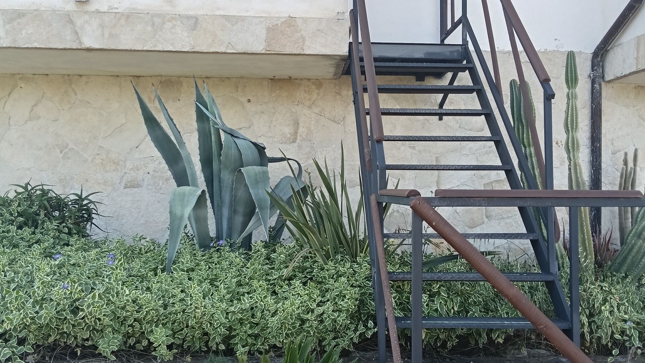 Photo of Outdoor in Venafro
