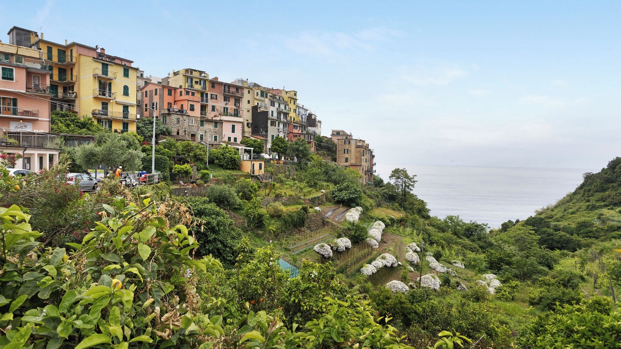 Photo of Others in Corniglia