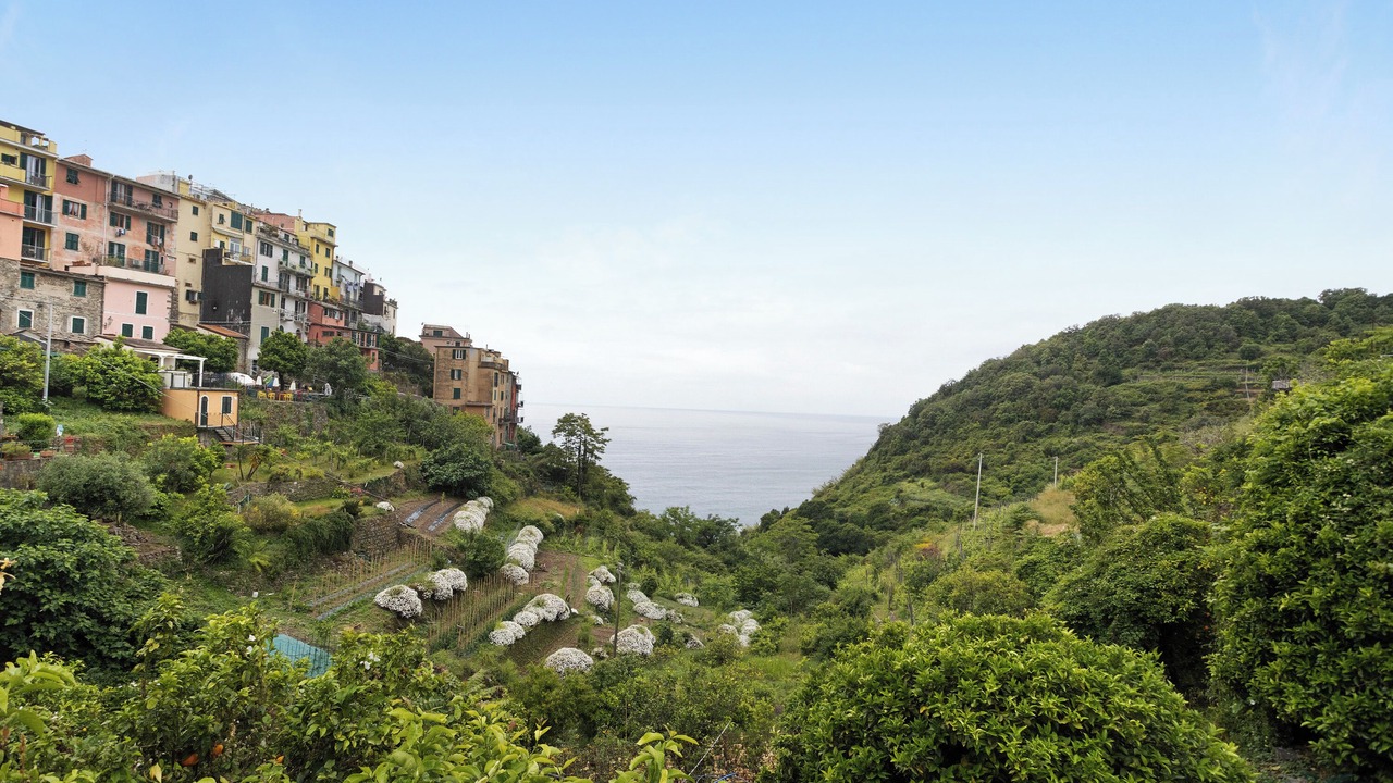 Photo of Others in Corniglia