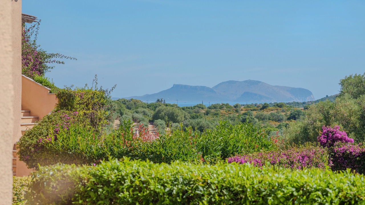 Photo of Outdoor in Murta Maria