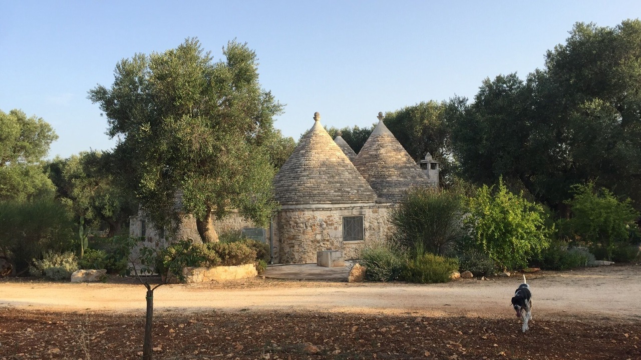 Photo of Others in Villa Castelli