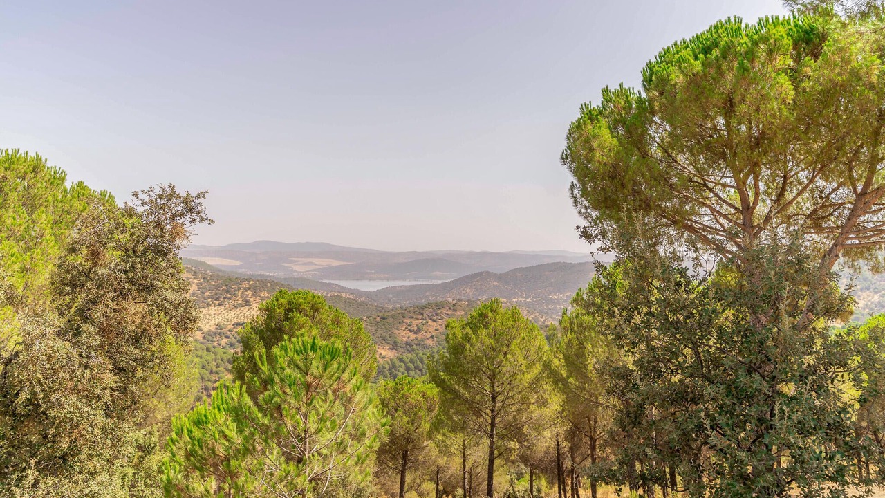 Photo of Others in Villaviciosa de Cordoba