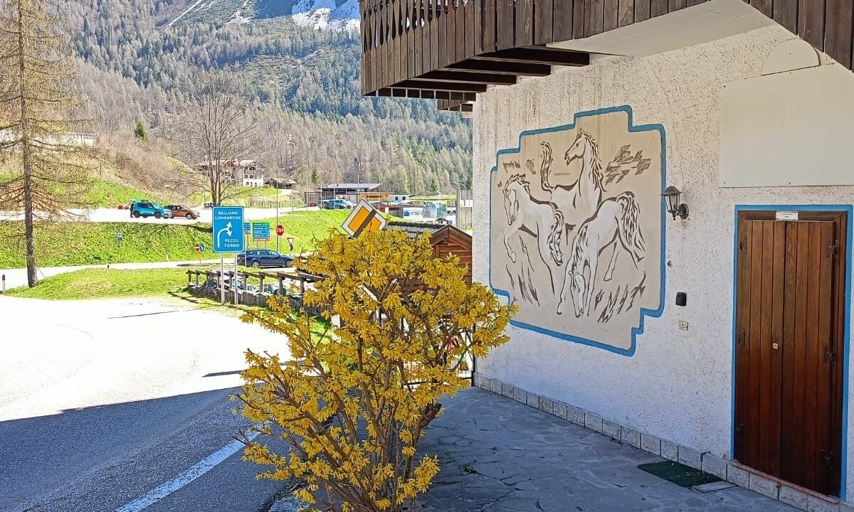 Photo of Outdoor in Forno di Zoldo