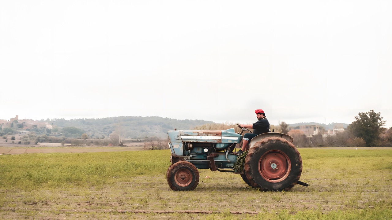 Photo of Others in Serra de Daro
