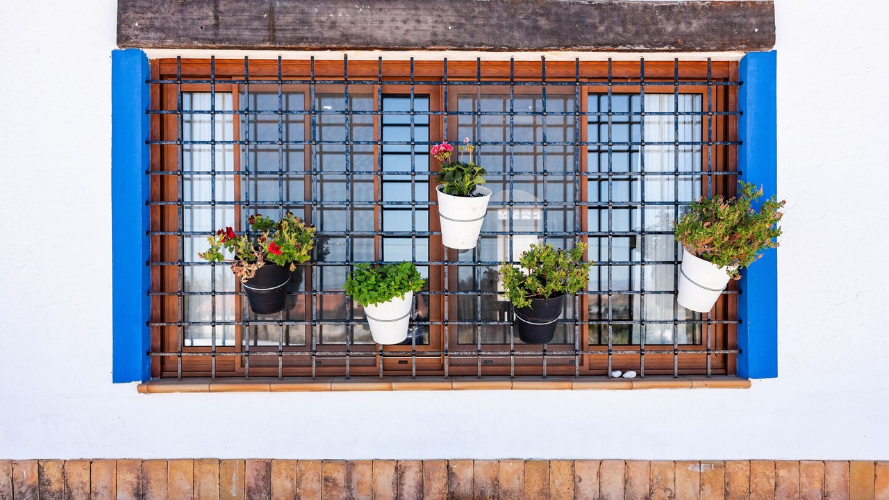 Photo of Outdoor in Las Barracas