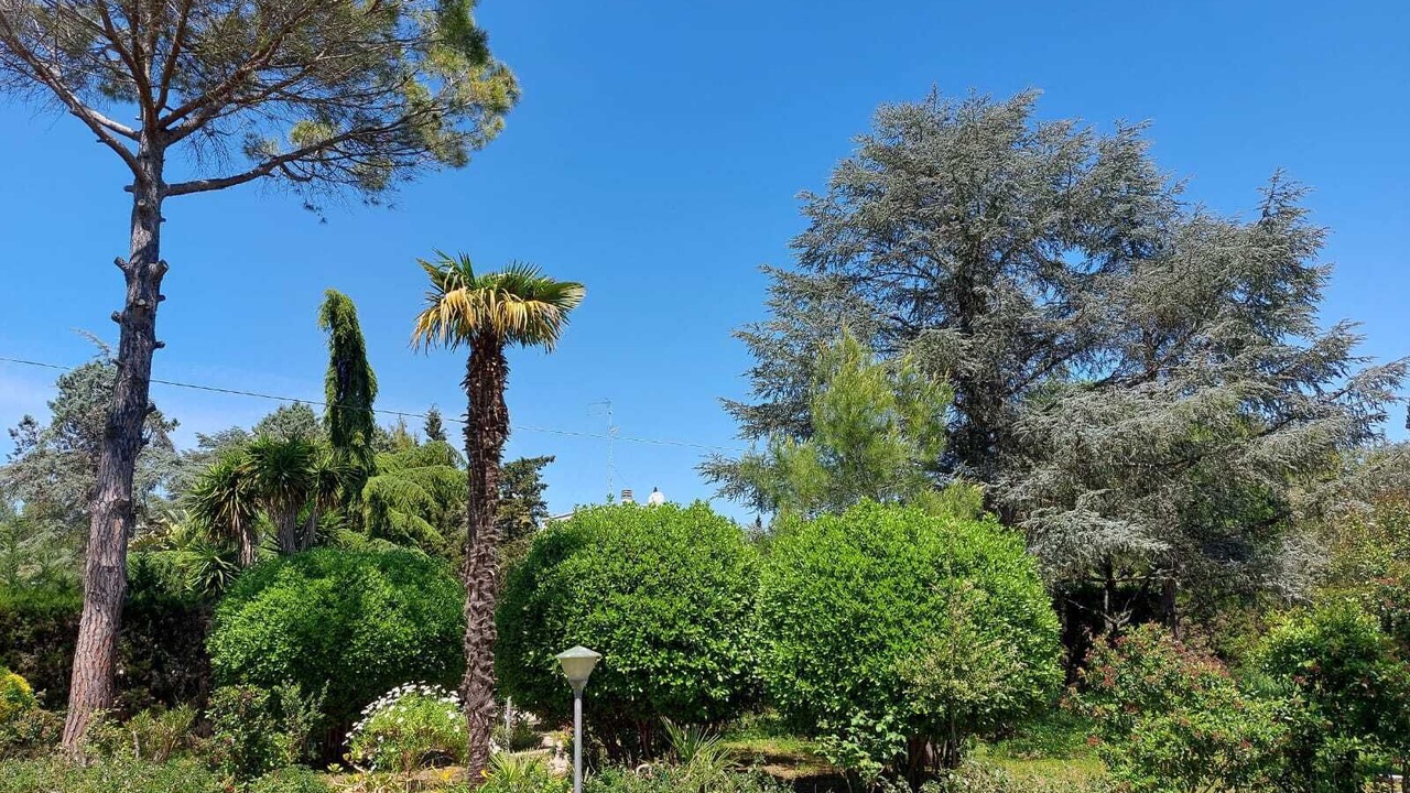 Photo of Outdoor in Monteroni di Lecce