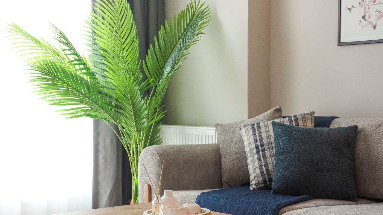 Photo of Livingroom in Uludag