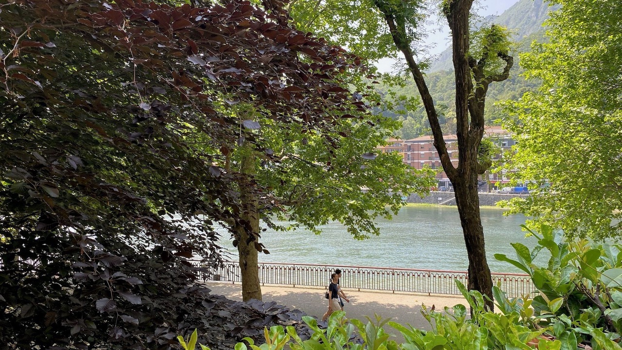 Photo of Others in Lecco