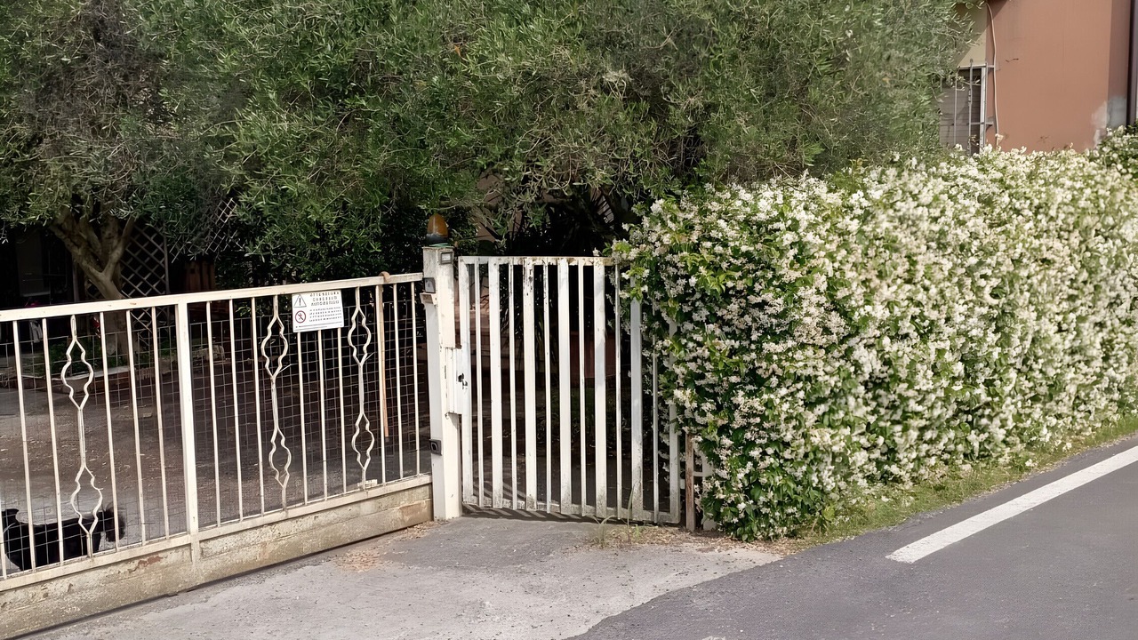 Photo of Outdoor in Gazzo Veronese