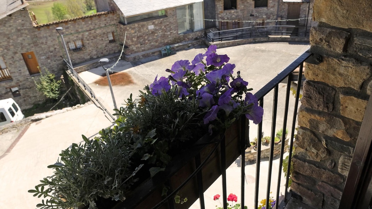 Photo of Outdoor in Noves de Segre