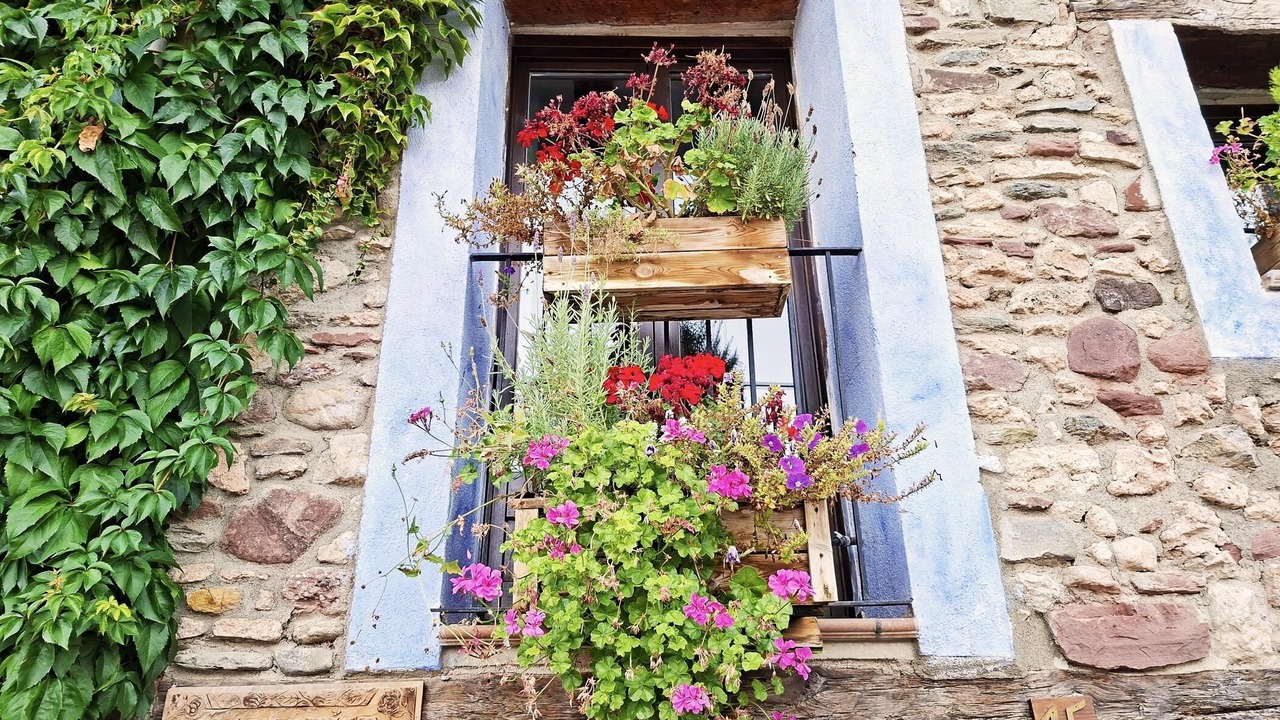 Photo of Outdoor in Noves de Segre