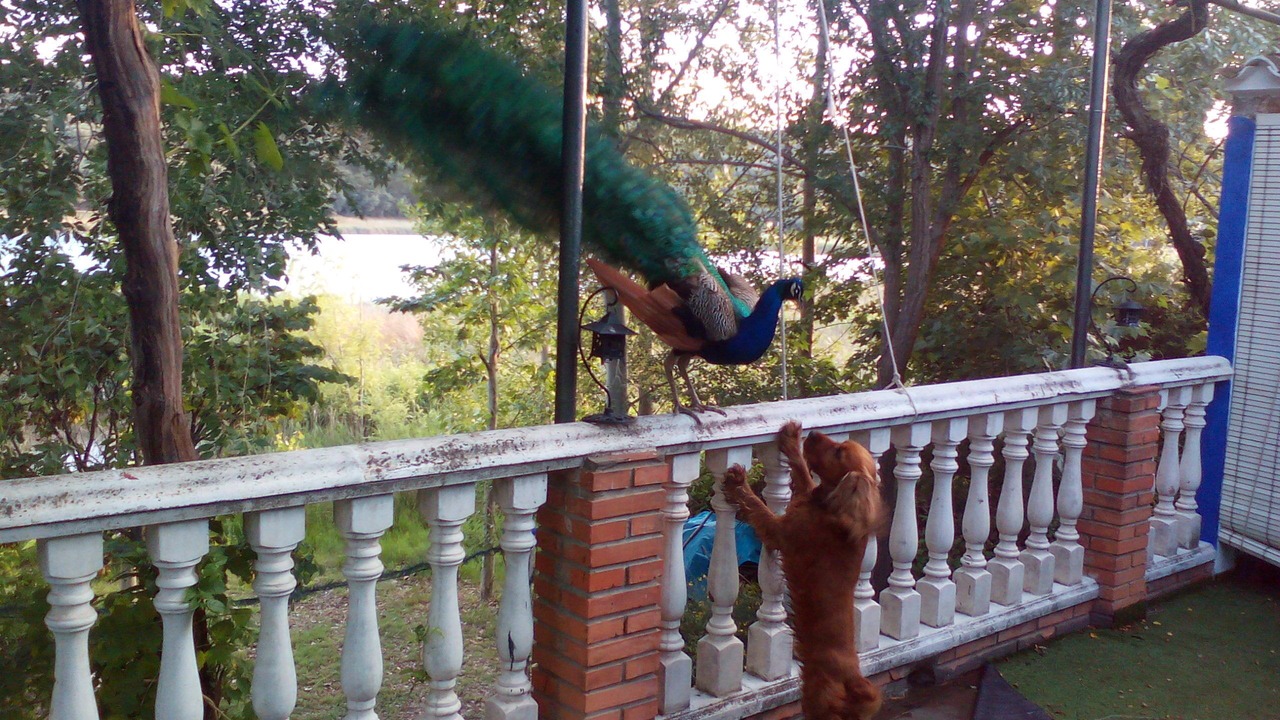 Photo of Others in Ruidera