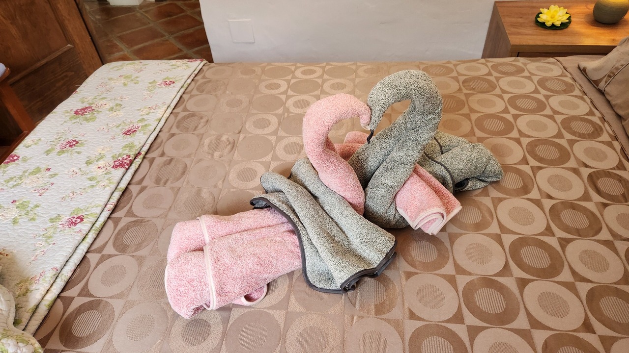 Photo of Bedroom in Archez