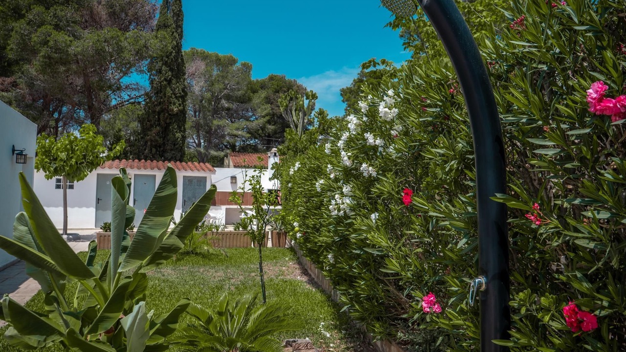 Photo of Outdoor in Calafat