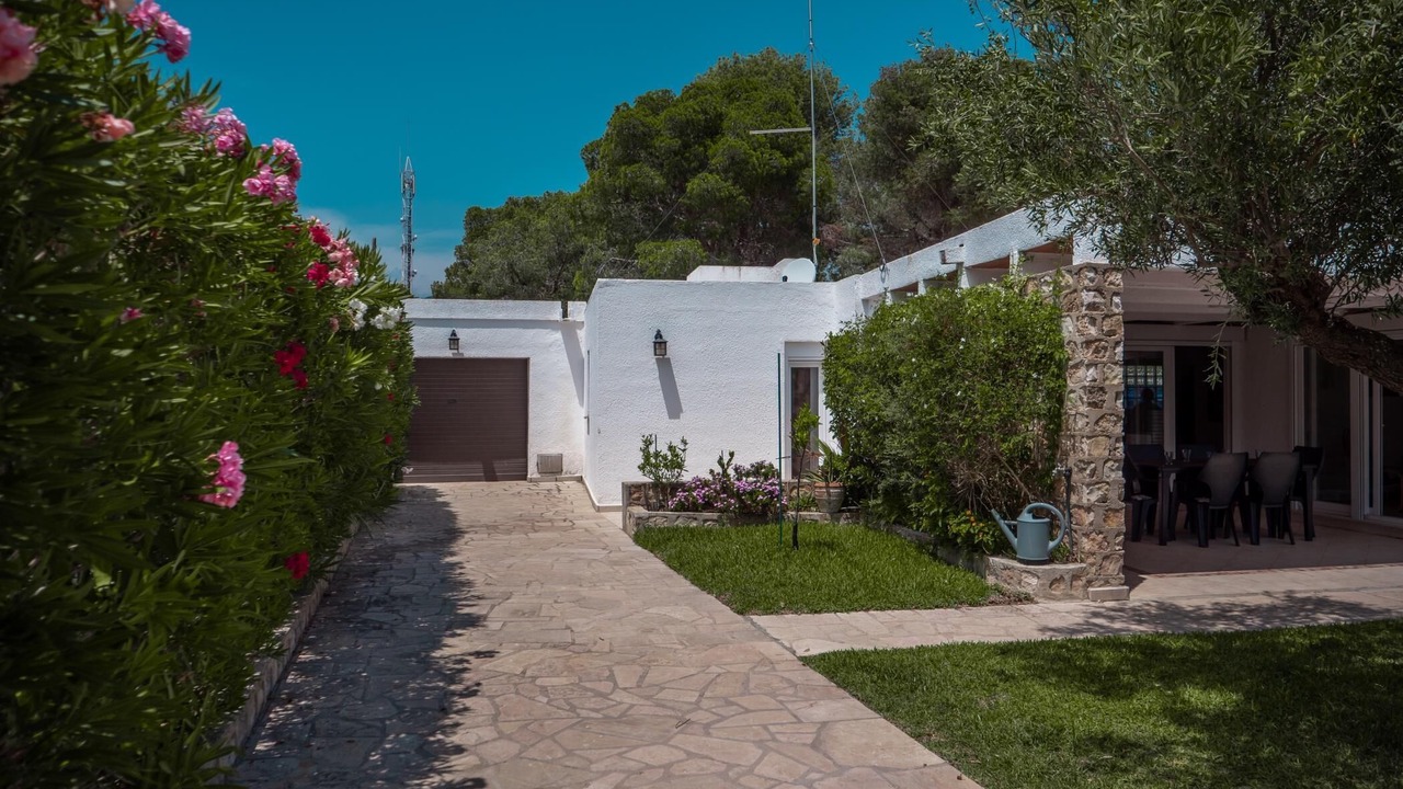 Photo of Outdoor in Calafat