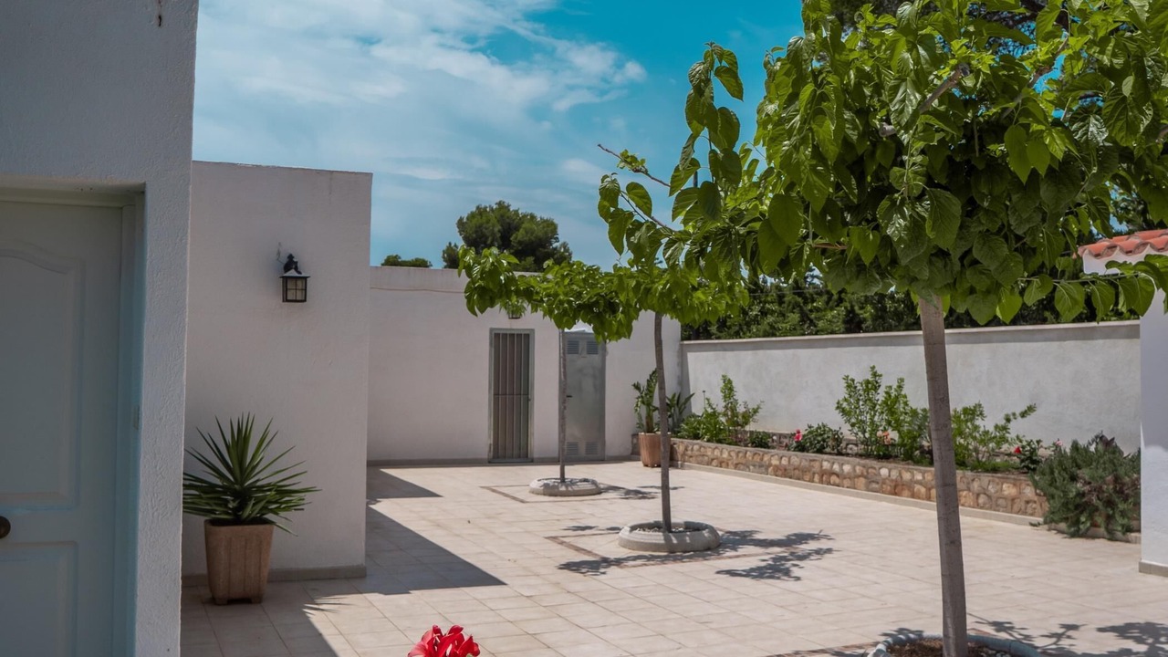 Photo of Outdoor in Calafat