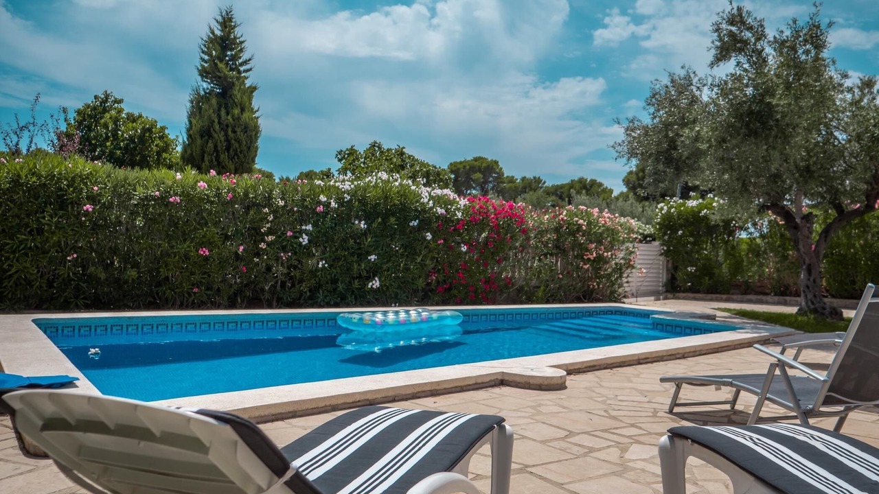 Photo of Outdoor in Calafat