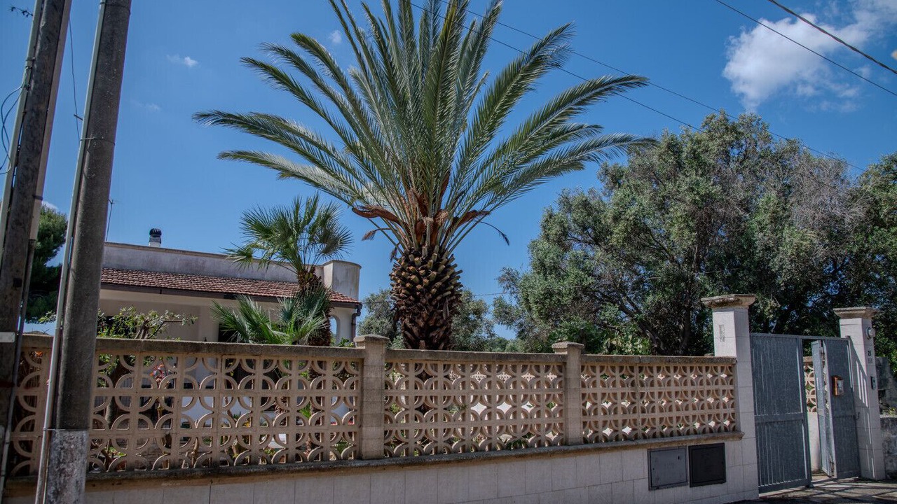 Photo of Outdoor in Leporano Marina