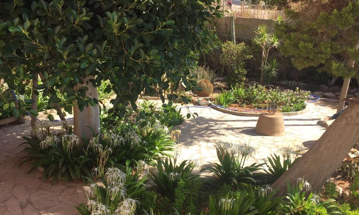Photo of Outdoor in Guainos Bajos
