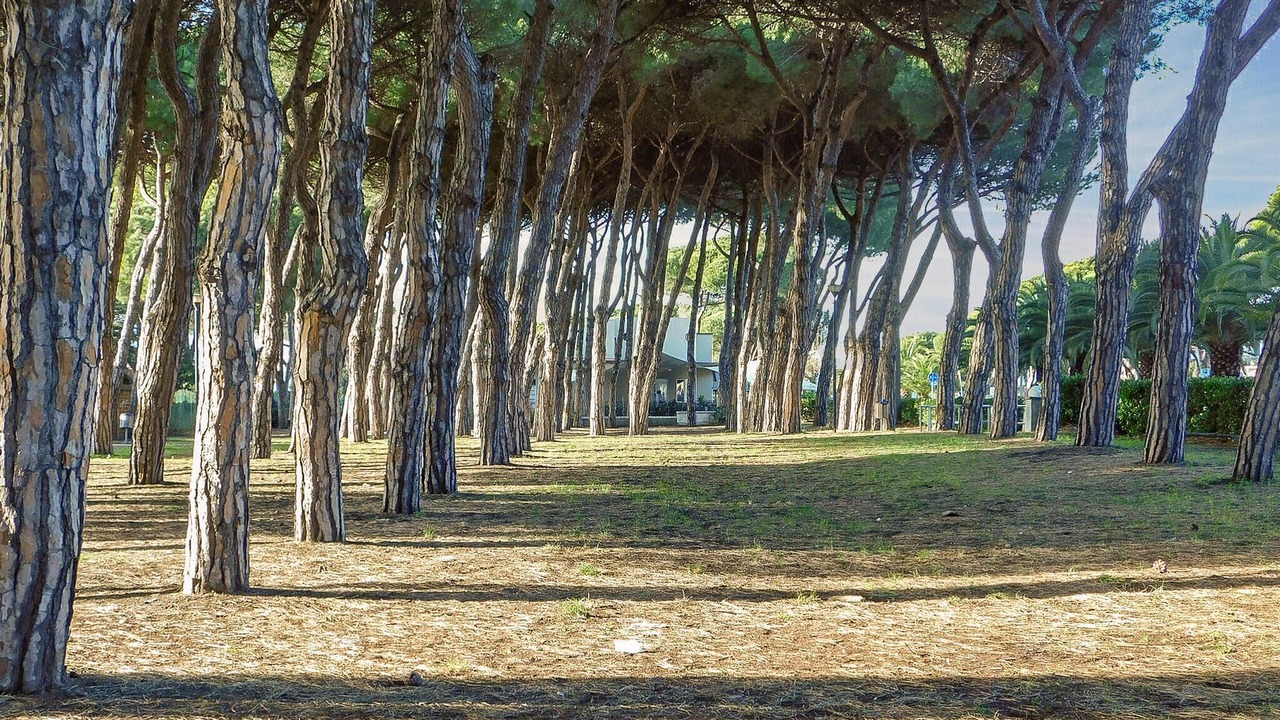 Photo of Others in Fosdinovo