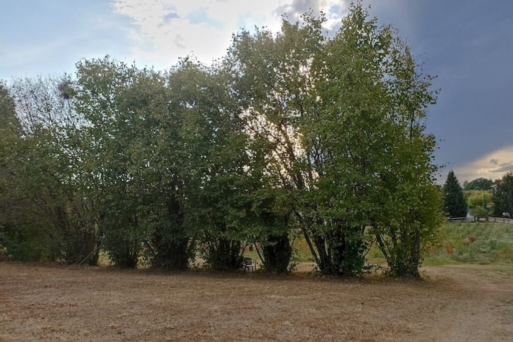 Photo of Others in Varallo Pombia